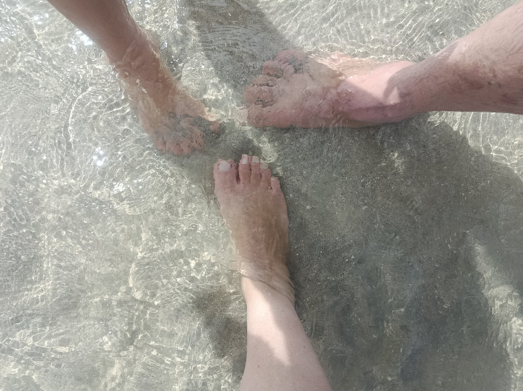 Praia São Bento-Maragogi必去景点