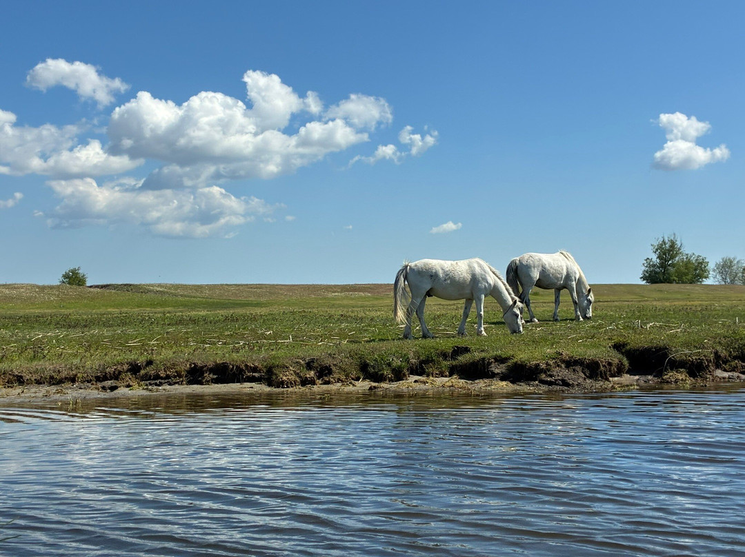 Danube Delta Guides And Birdwatching