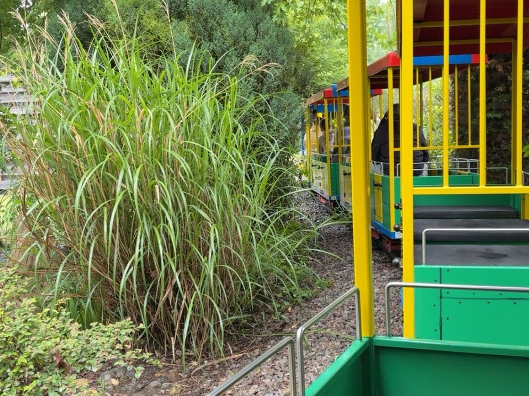 KID PARC Île d'Aventures-Gujan-Mestras必去景点