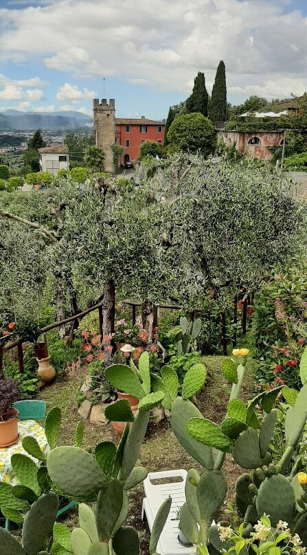 Centro Storico di Buggiano-Buggiano必去景点