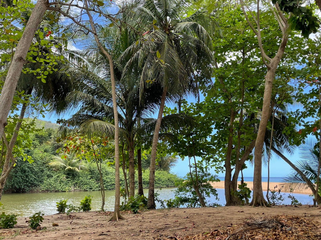 Plage de Grande Anse-Deshaies必去景点