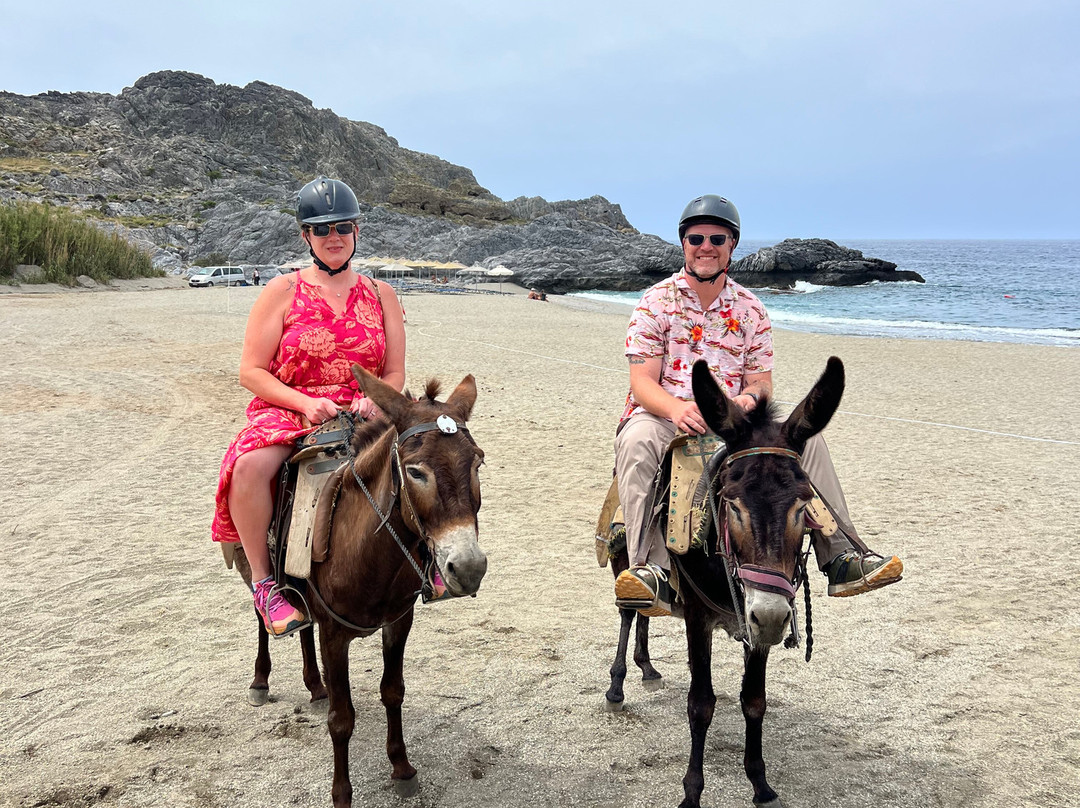 Plakias Horse Riding Center-Plakias必去景点