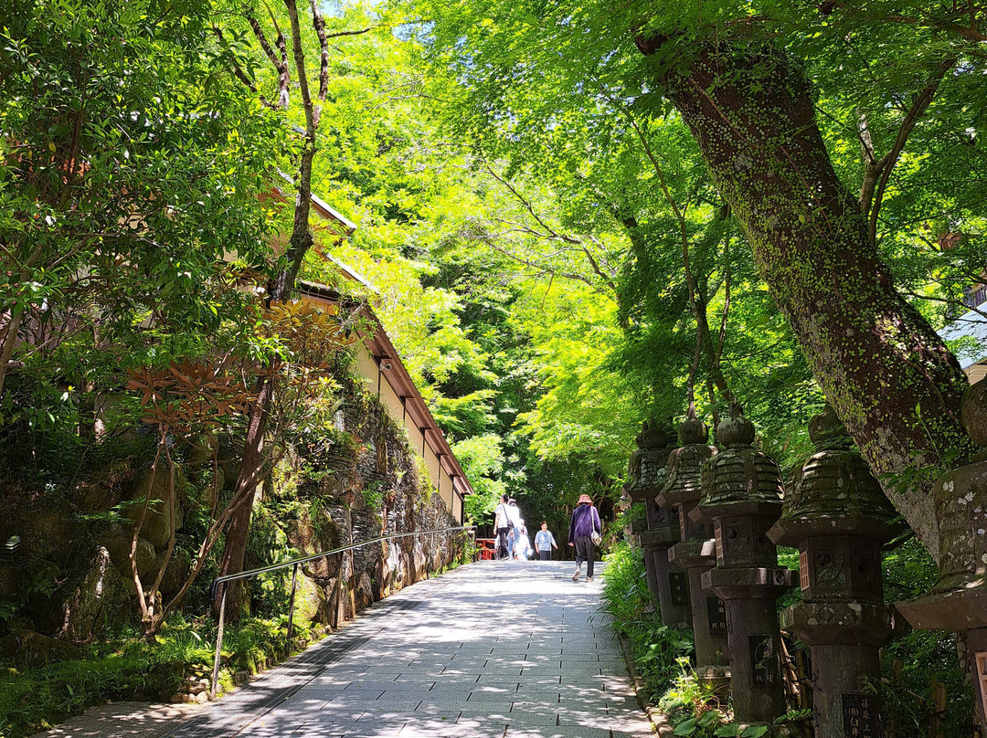 Nanzoin Temple-筱栗町必去景点