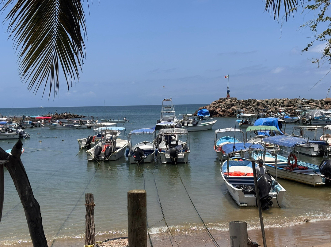 Dressel Divers Puerto Vallarta-蓬塔米塔必去景点