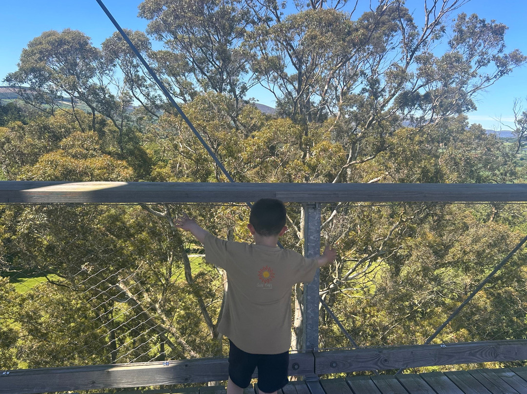 Treetop Walk Avondale-Rathdrum必去景点