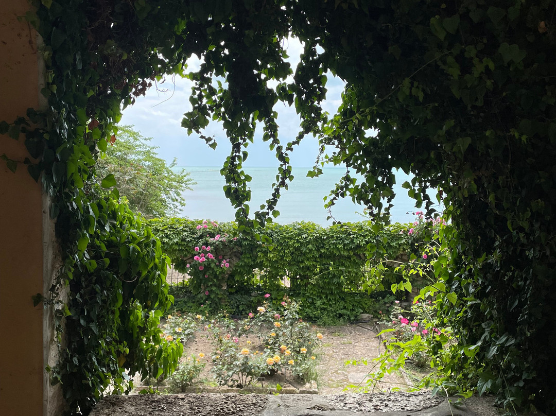 Botanical Garden Ecopark-瓦尔纳必去景点
