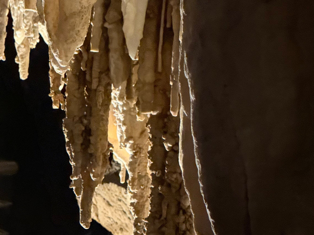 Grotta Antro del Corchia-Levigliani必去景点