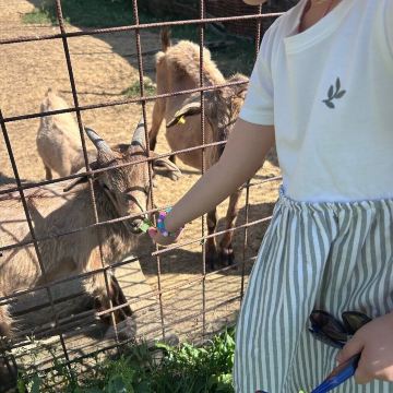 马塞里亚奎尔奇欧勒酒店-旅行者