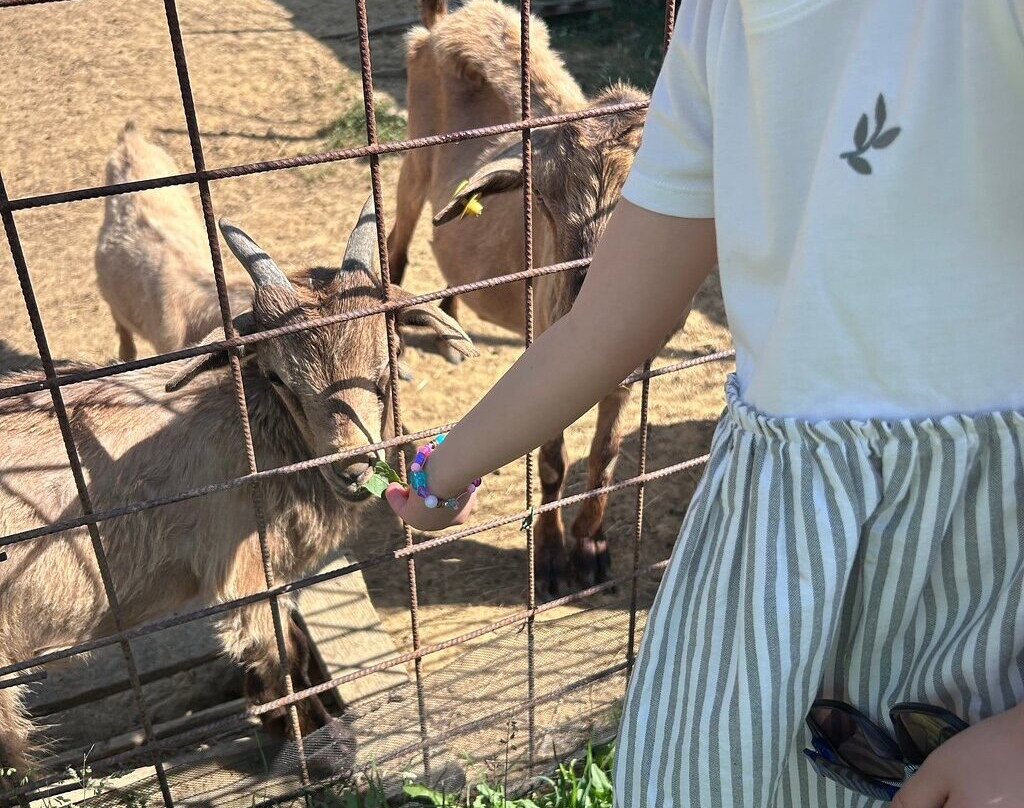 马塞里亚奎尔奇欧勒酒店主图