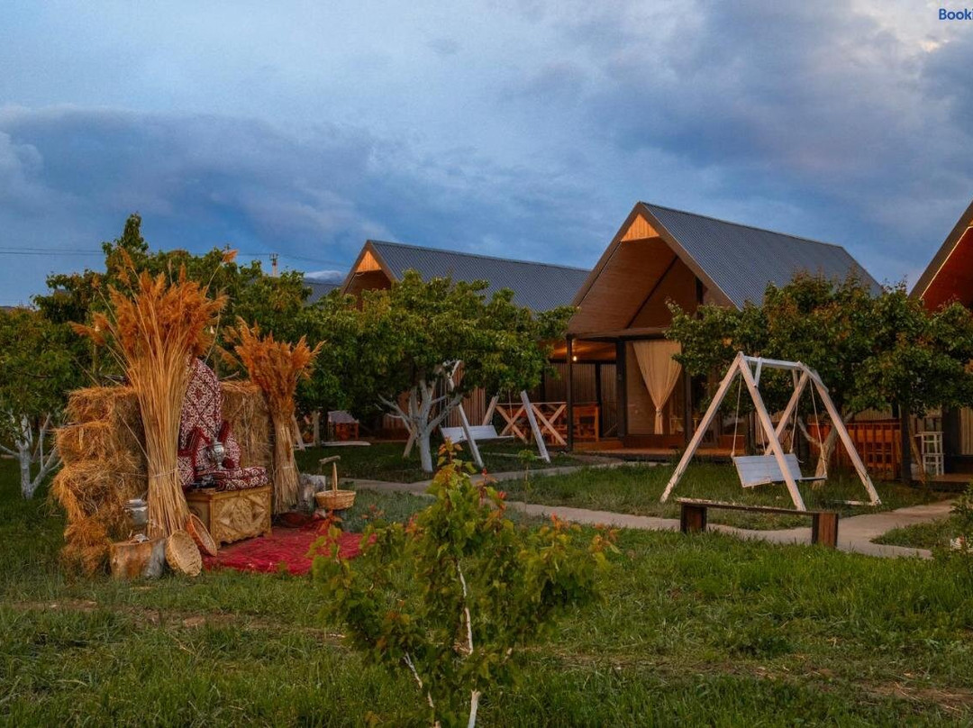 Coral houses
