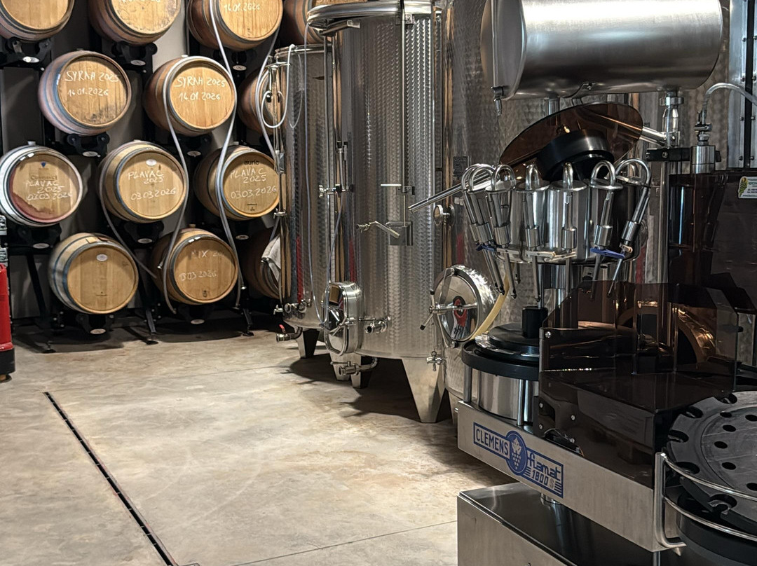 Winery Kusić-玛卡沙必去景点