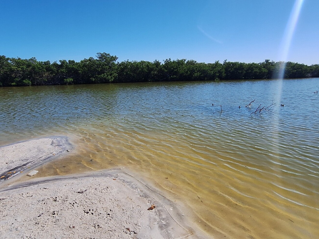 Honeymoon Island State Park-达尼丁必去景点