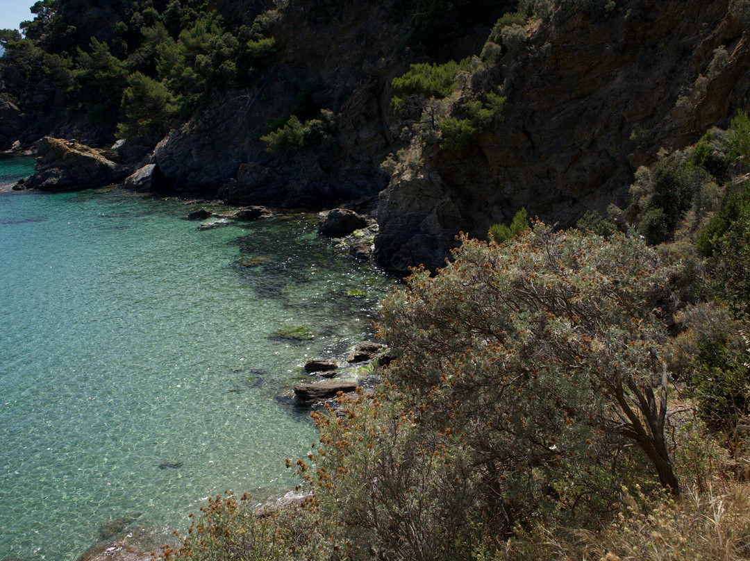 Sentier du Fenouillet-Cavalaire-Sur-Mer必去景点