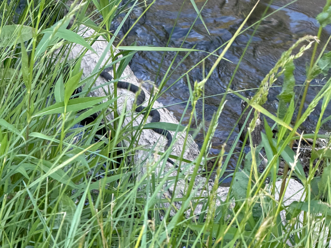 River Trail Crossing Campground