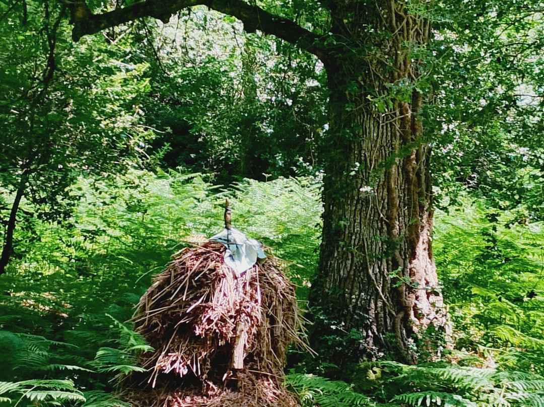Bosque de Orgi-Lizaso必去景点
