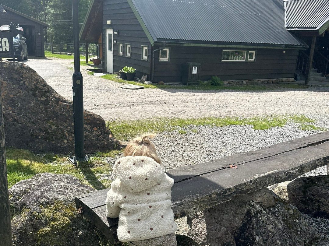 Sirdal Husky Farm-Tonstad必去景点