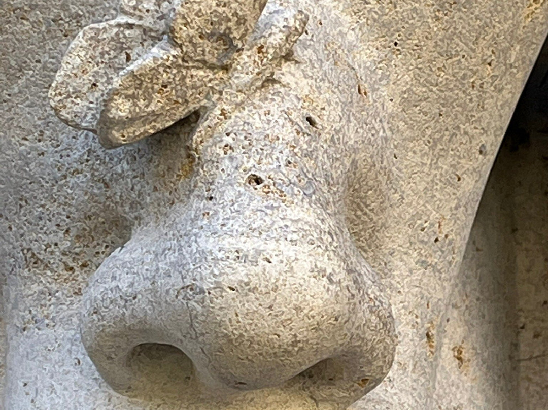Cathédrale Saint Vincent-索恩河畔沙隆必去景点