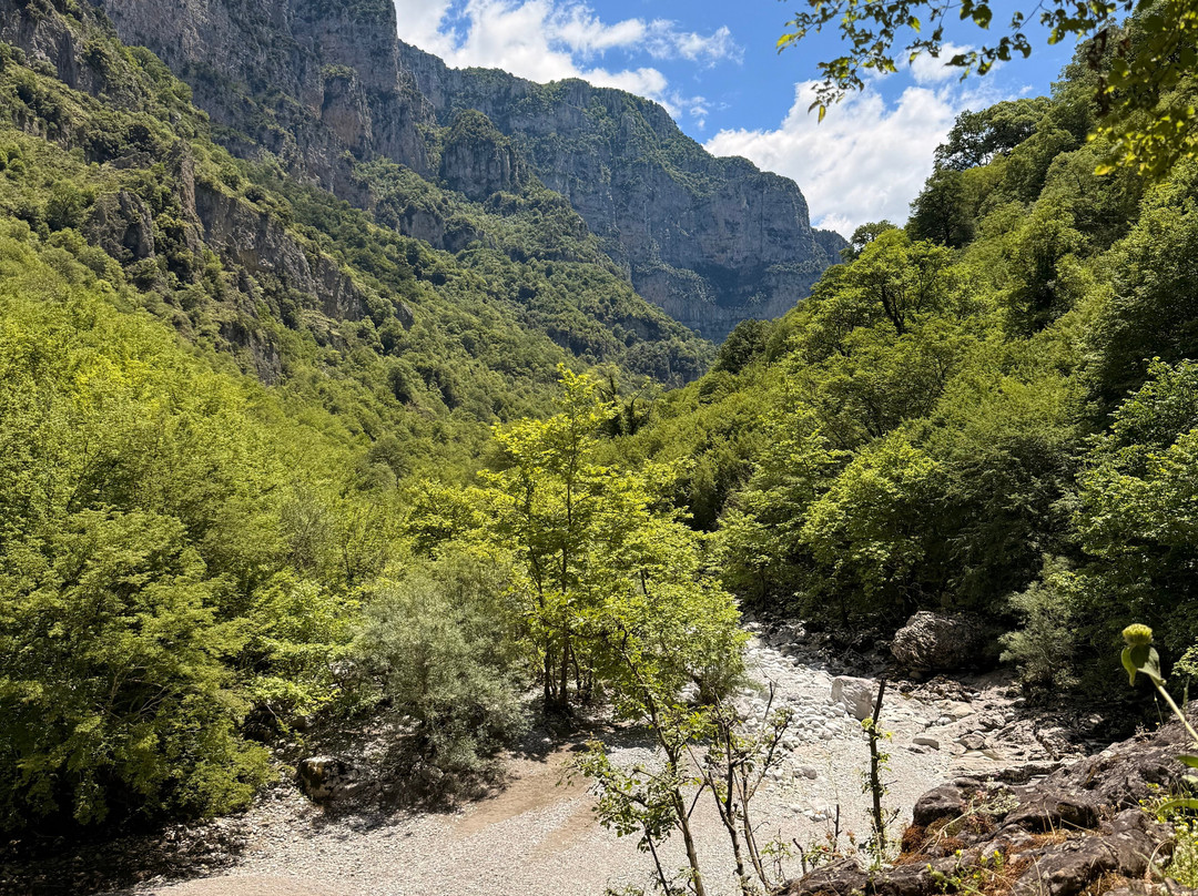 TAXI Zagori The MountainVan-Monodendri必去景点