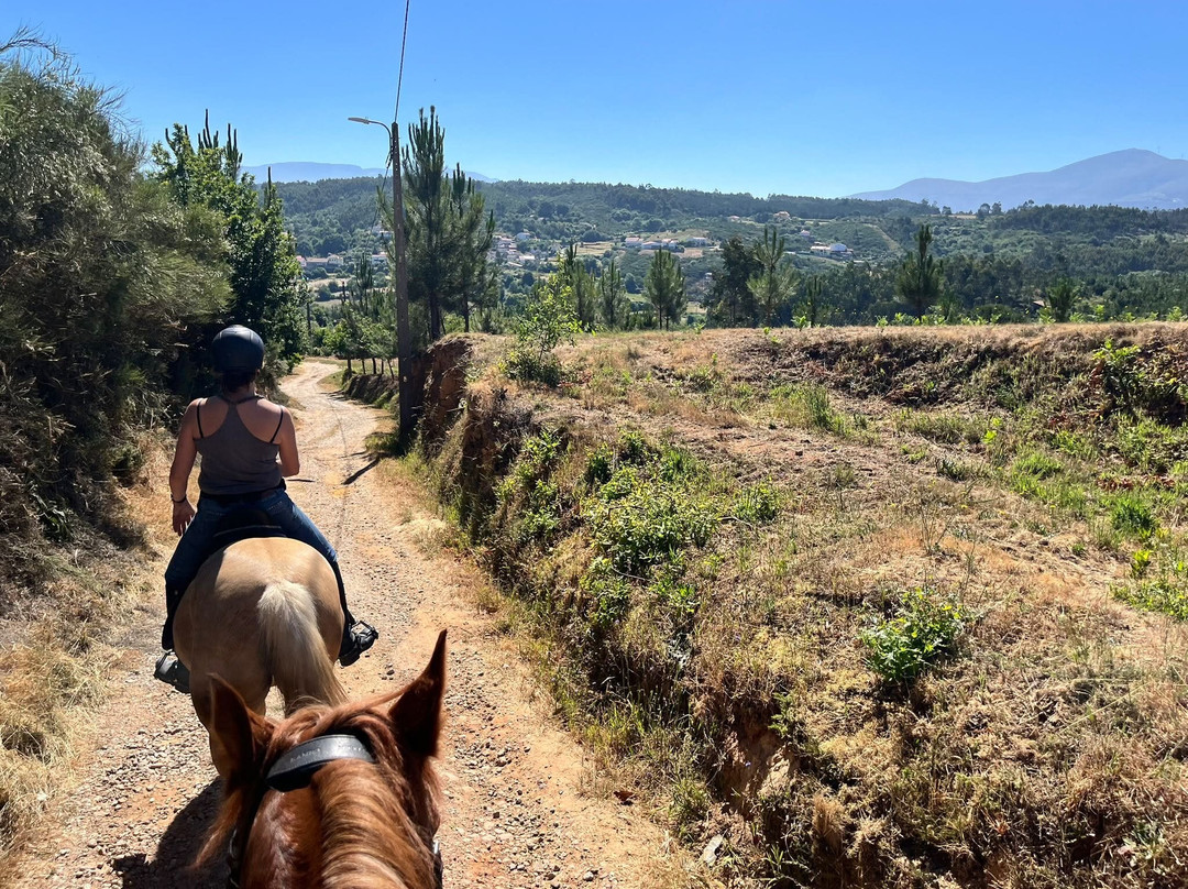 ATV & Horse Tours Central Portugal-Nogueira do Cravo必去景点