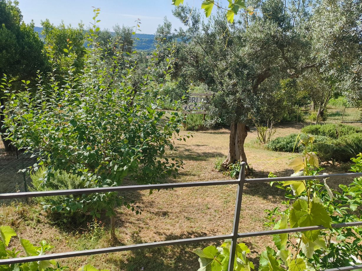 Fiori di Campo B&B-旅行者