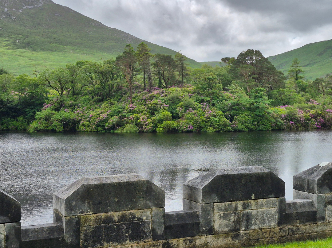 Irish Experience Tours-科克必去景点