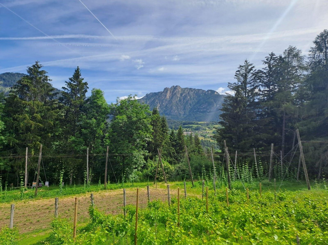 Birrificio Agricolo Artigianale Birra Di Fiemme-Masi di Cavalese必去景点