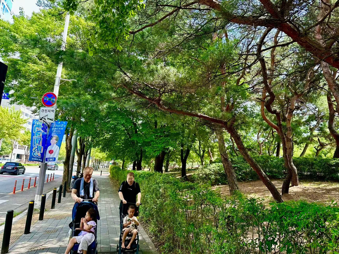 Ilsan Lake Park-高阳市必去景点
