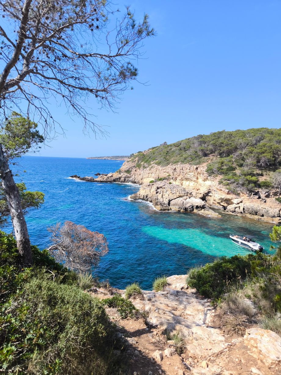 Alua Calvia Mallorca-旅行者