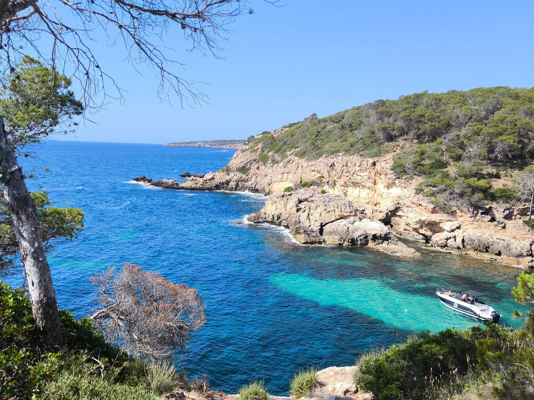Alua Calvia Mallorca主图