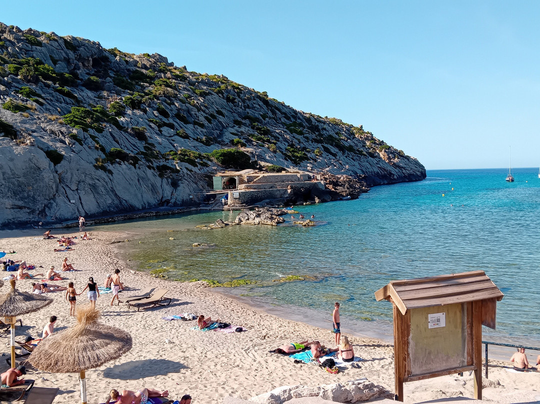 Platja de Cala Barques-Cala Sant Vicenc必去景点