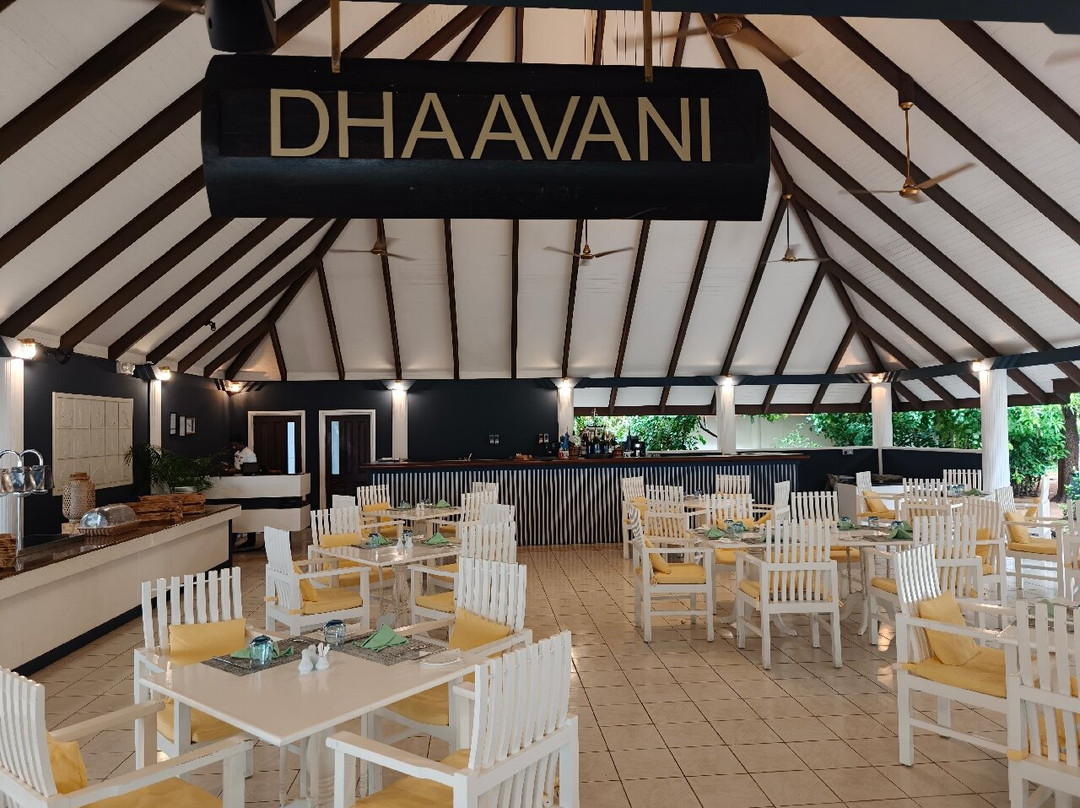 Dhavani