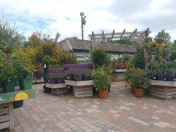 Scotsdales Garden Centre-剑桥必去景点