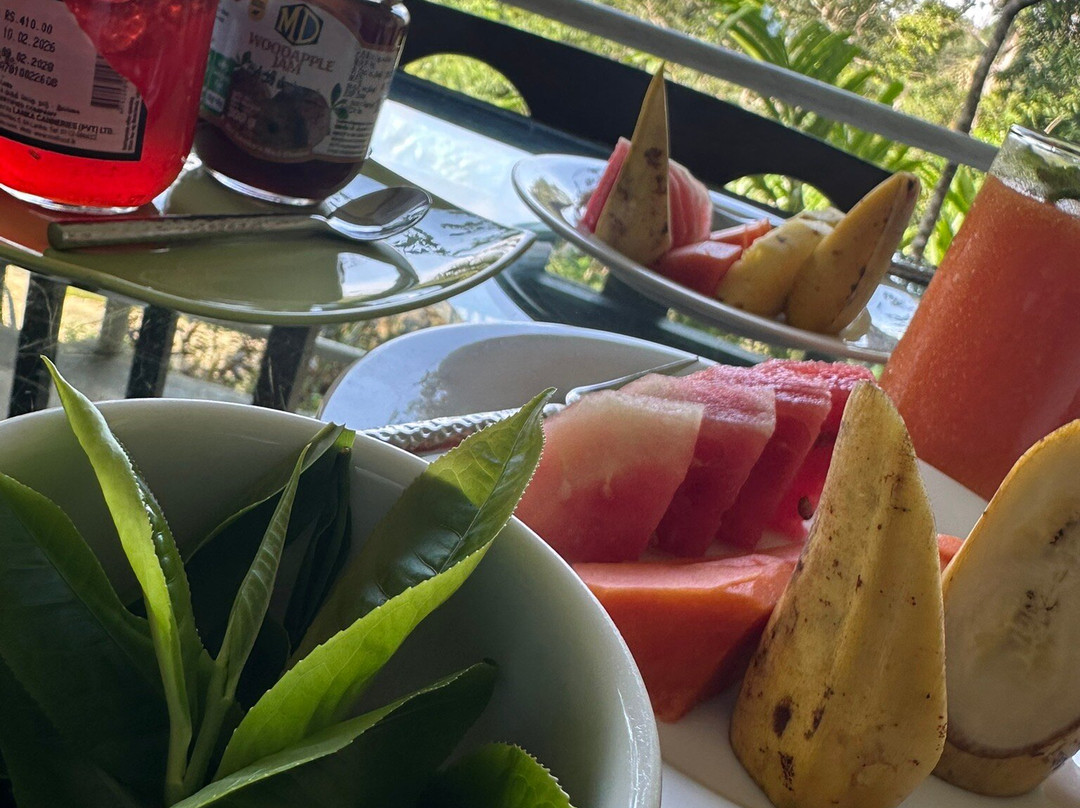 森林边缘酒店主图