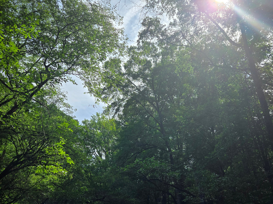 Carolina Outdoor Adventures-厄莫必去景点