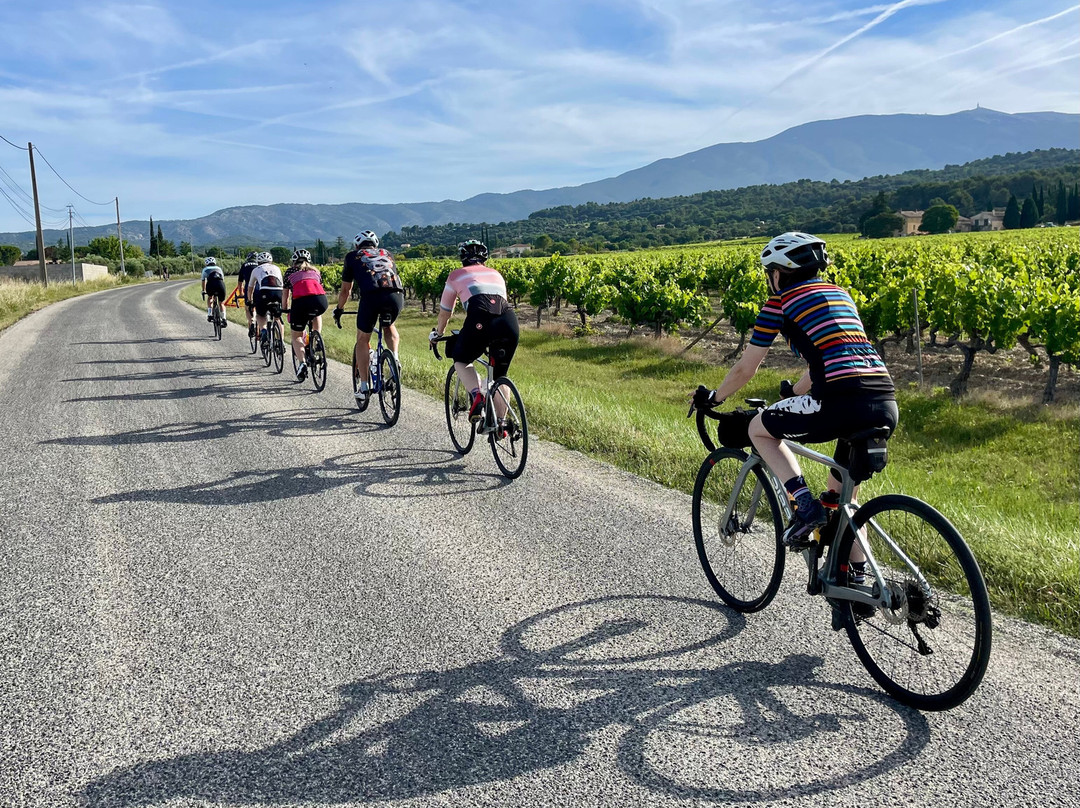 Cycle Retreats-科斯塔布兰卡必去景点