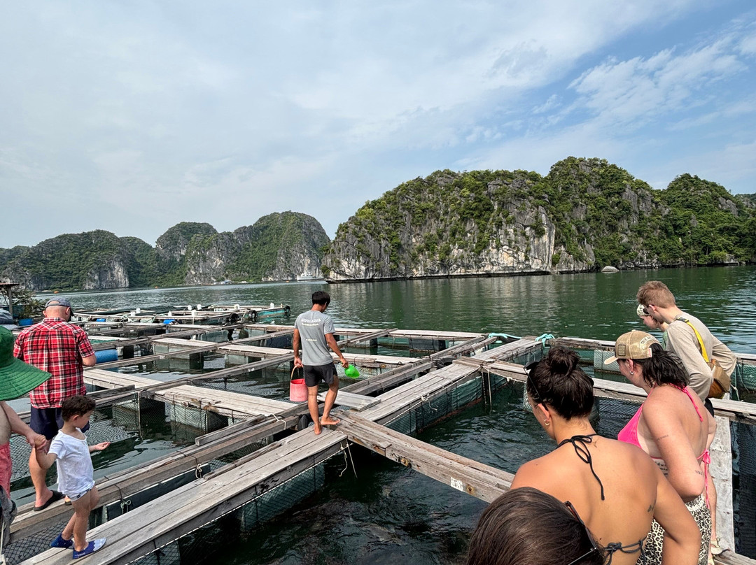 Cat Ba Smile Tours-卡巴必去景点