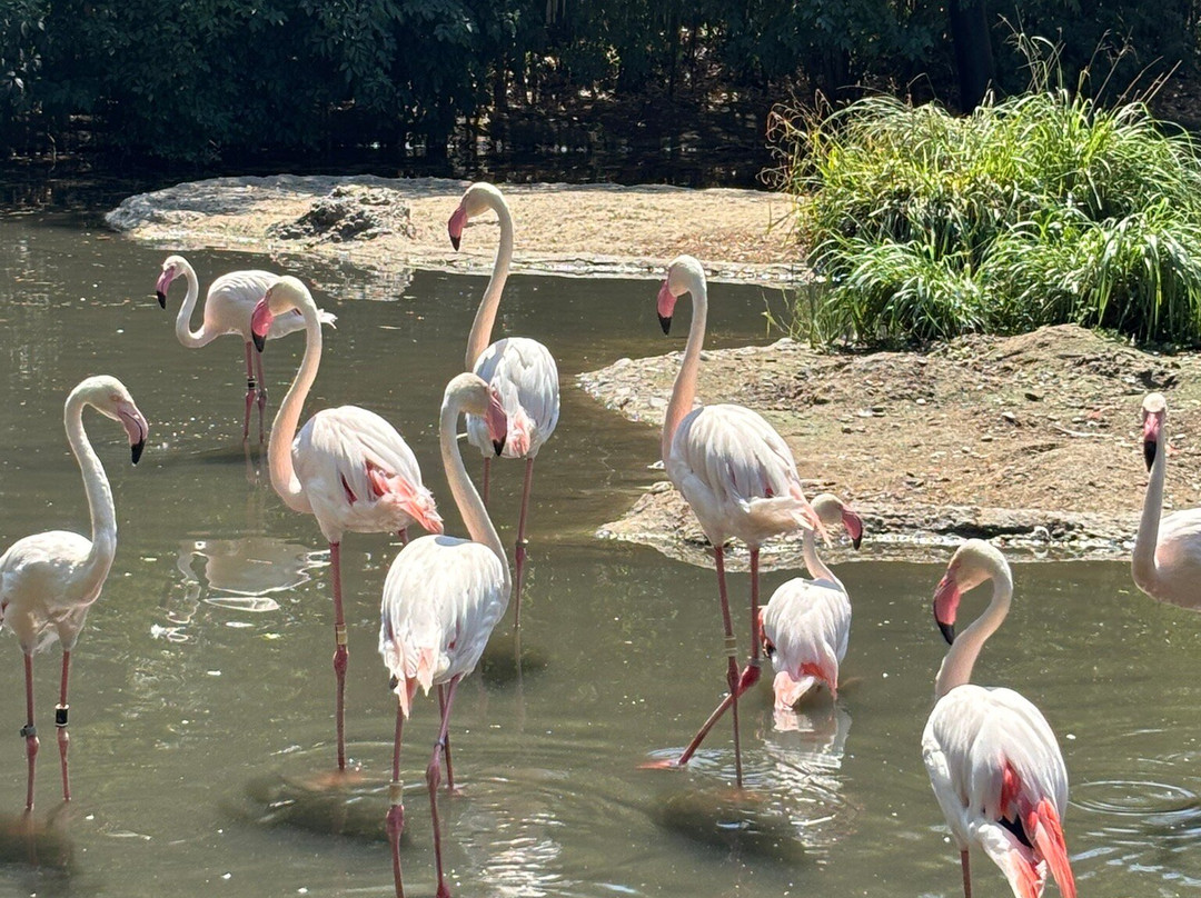 Zoo Basel-巴塞尔必去景点