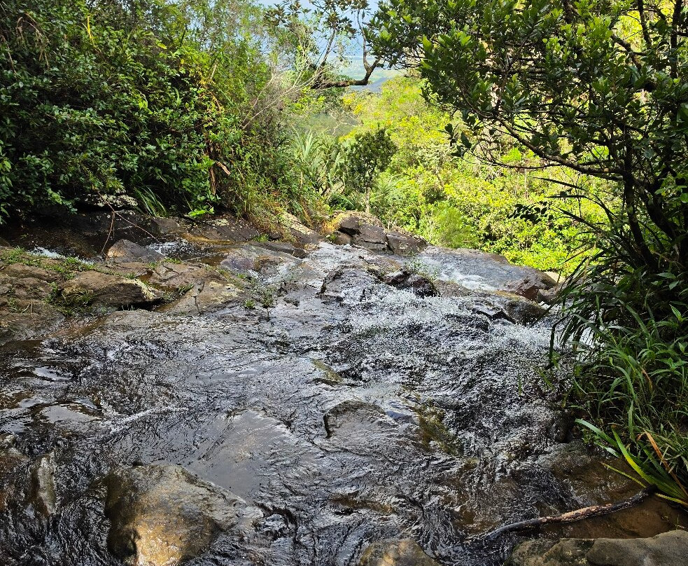 Alexandra Falls-Union Park必去景点