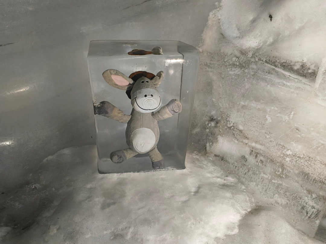 Titlis Glacier Cave-恩格尔贝格必去景点