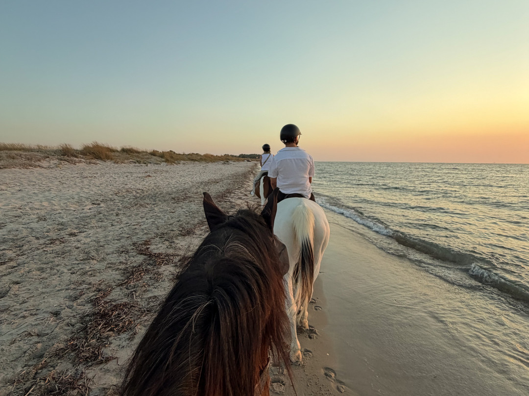 Erika's Horse Farm Kos-Marmari必去景点