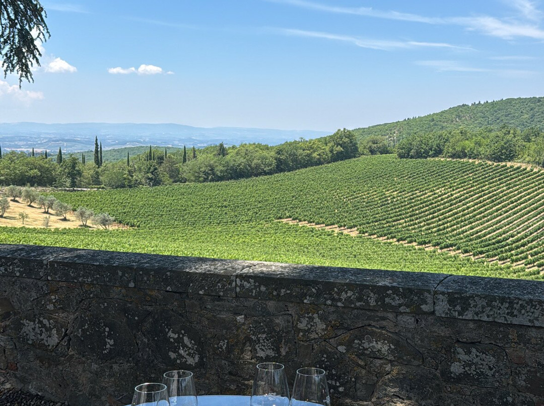 Bindi Sergardi Estates & Vineyards-Vagliagli必去景点