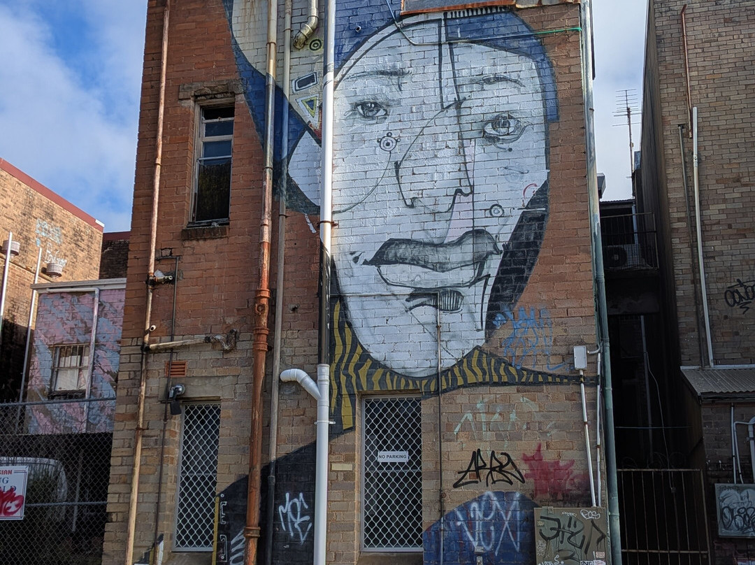 Street Art Walk - by Street Art Murals Australia-卡通巴必去景点