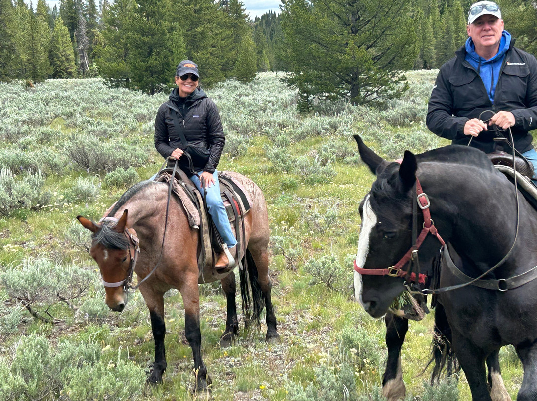 Swift Creek Outfitters & Teton Horseback Adventures-莫兰必去景点