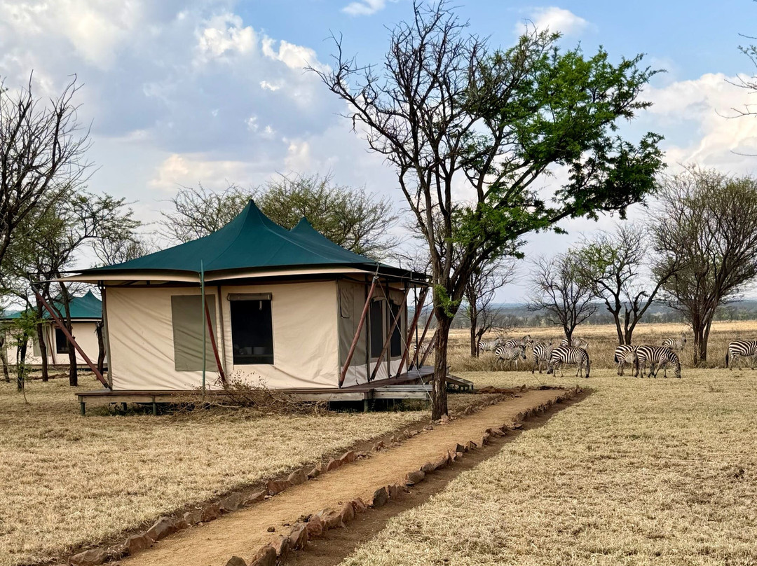Serengeti Queens Camp-Seronera必去景点