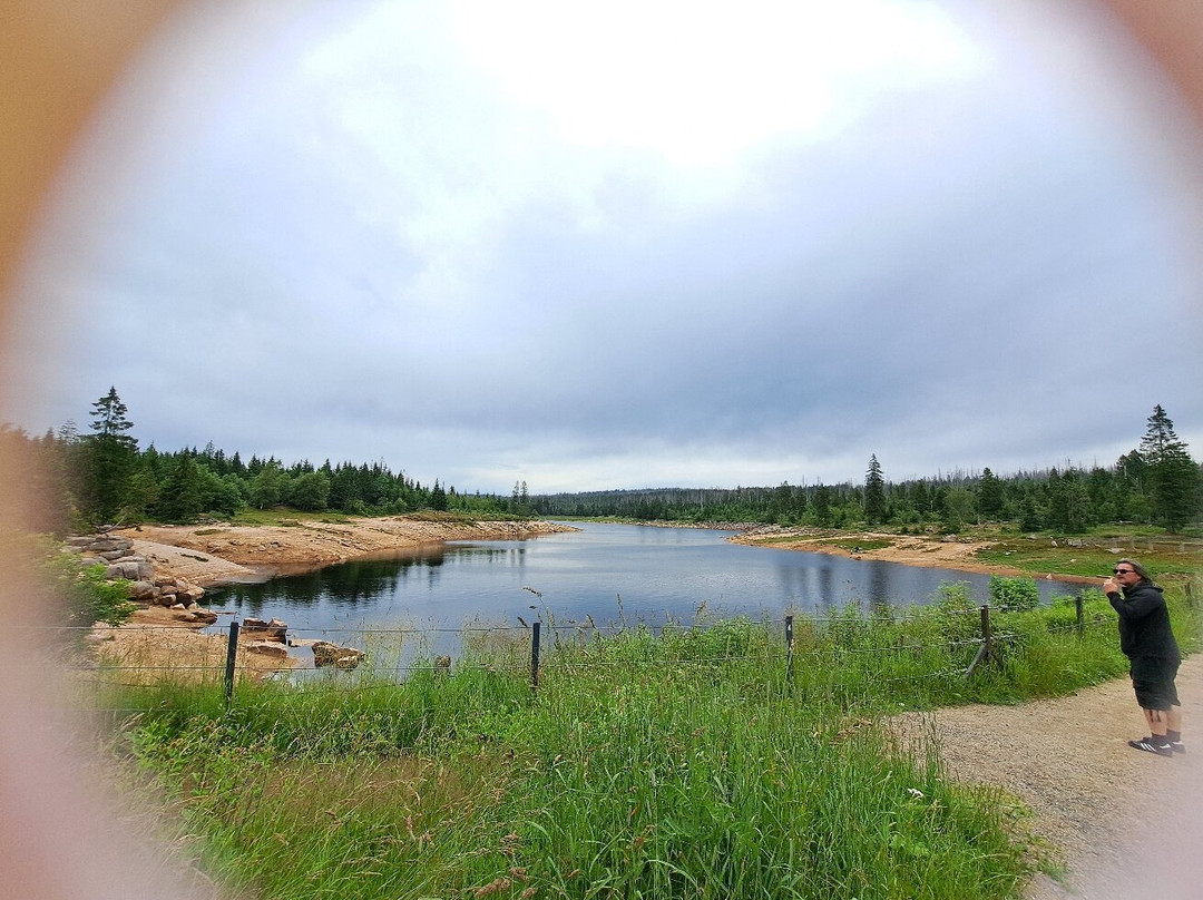 Oderteich