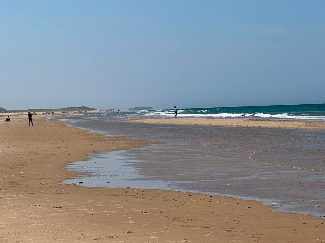Holkham Bay-Wells-next-the-Sea必去景点