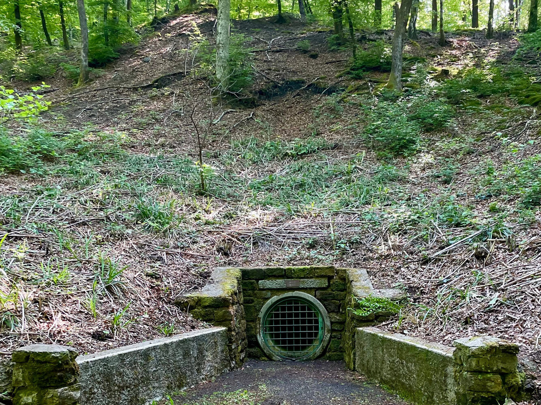 Le sentier des affleurements