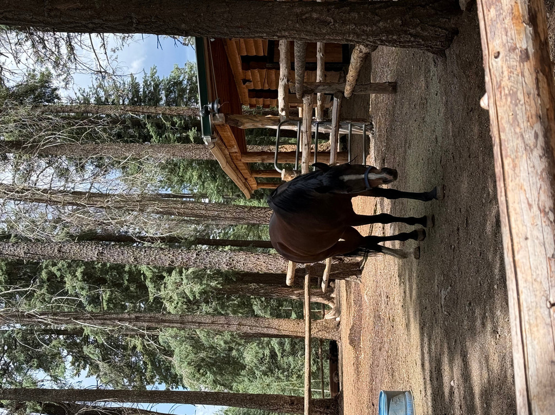 Hannagan Meadow Lodge主图