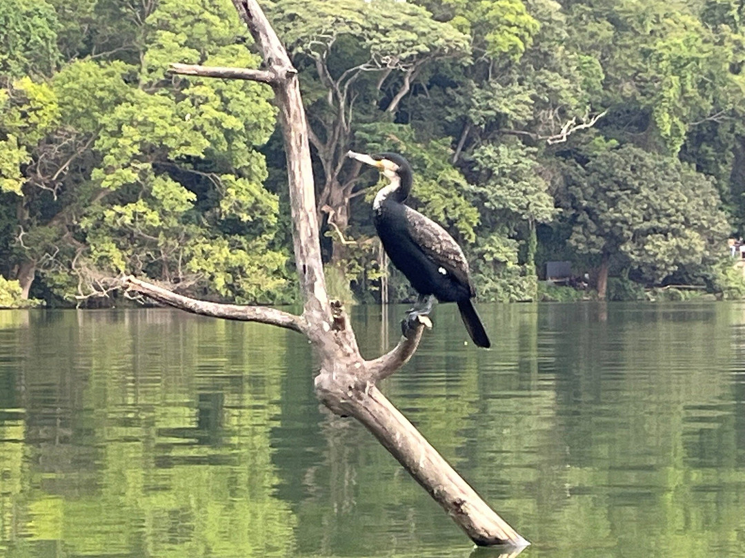 Lake Duluti-阿鲁沙必去景点