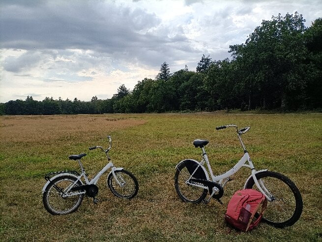 Nationale Park Hoge Veluwe-奥特洛必去景点